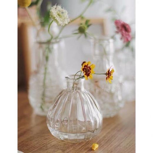 【折断的花儿也应该有归宿】简小姐精选 高颜值 复古玻璃迷你小花瓶 下单72小时发货 商品图4