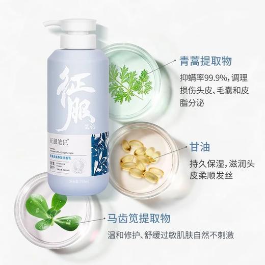 【亲身体验！】征服笔记青蒿洗发水除螨虫舒缓止痒控油净透去屑养发洗发乳 商品图4