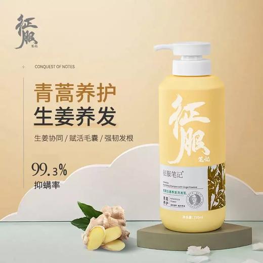 【亲身体验！】征服笔记青蒿洗发水除螨虫舒缓止痒控油净透去屑养发洗发乳 商品图1