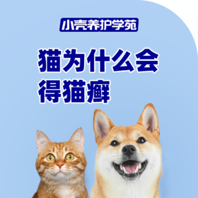 为什么猫会得猫癣