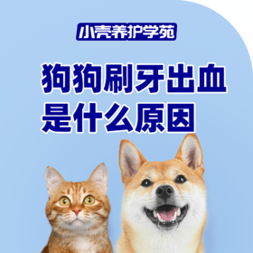 狗狗刷牙出血是什么原因