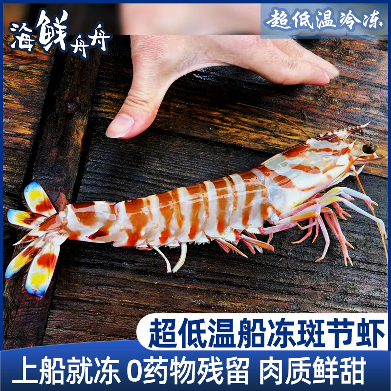 【野生】超低温  九节虾