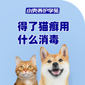 得了猫癣用什么消毒