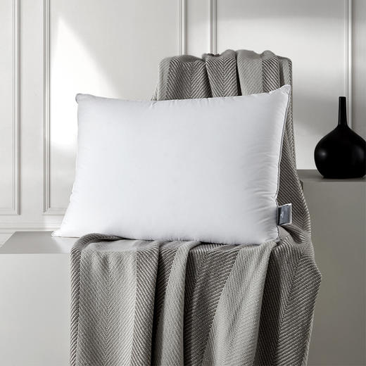 寐·5S蚕丝云浮枕 商品图2