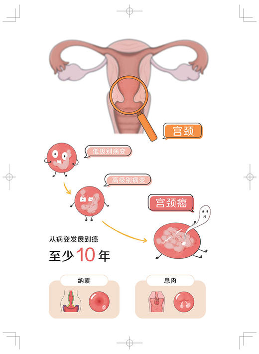 正版 红房子医院 爱的三次方 华克勤 徐丛剑主编 复旦大学附属妇产科医院 妇科学肿瘤学预防 上海科学技术出版社9787547856215 商品图4