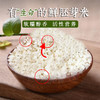 新米上市东北大米农家有机肥种植优质好米10斤/袋 商品缩略图4