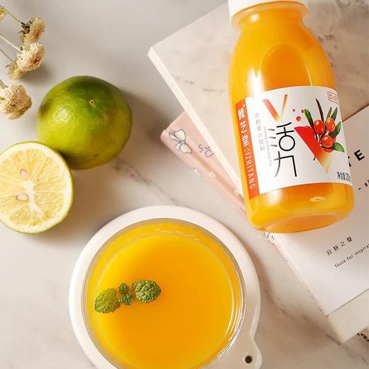 康元 沙棘果汁饮料 200ml10瓶1箱 商品图3
