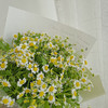亲吻阳光 · 花束 商品缩略图1