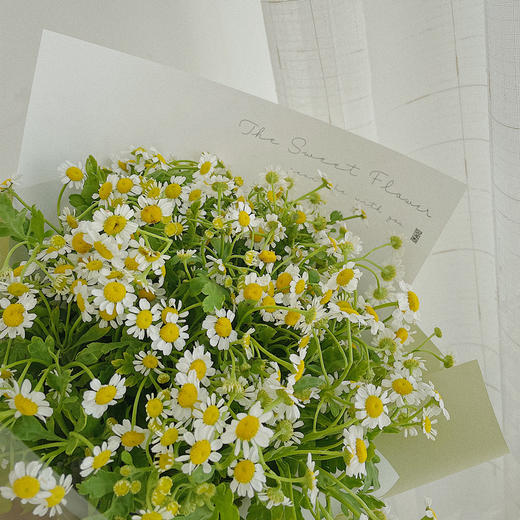 亲吻阳光 · 花束 商品图1