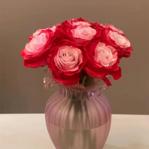 厄瓜多尔进口染色玫瑰花 cherry lips樱桃唇10支 商品图4