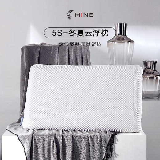 寐·5S蚕丝云浮枕 商品图1