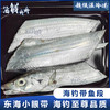 【野生】超低温 油带鱼带鱼段 商品缩略图0