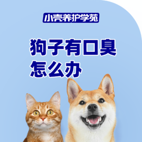 狗子有口臭怎么办