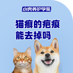 猫癣的疤痕能去掉吗