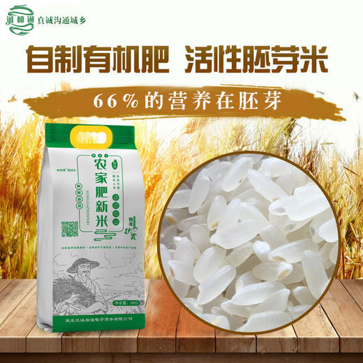 新米上市东北大米农家有机肥种植优质好米10斤/袋 商品图2