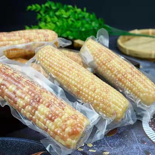 西双版纳糯玉米 商品图2