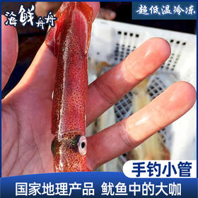 【野生】超低温  手钓小管 400g/盒