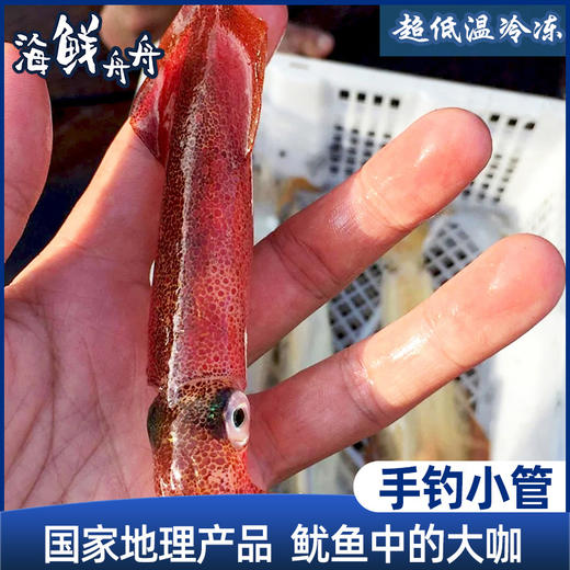 【野生】超低温  手钓小管 400g/盒 商品图0