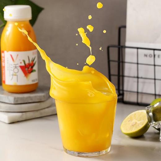 康元 沙棘果汁饮料 200ml10瓶1箱 商品图2