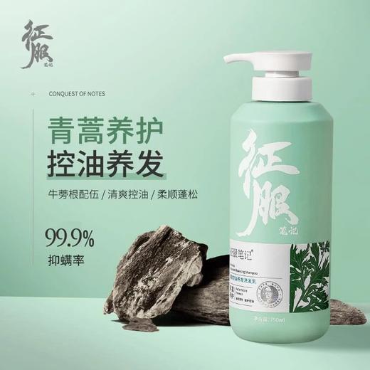 【亲身体验！】征服笔记青蒿洗发水除螨虫舒缓止痒控油净透去屑养发洗发乳 商品图5