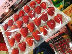 小岛春草莓一盒（补单）