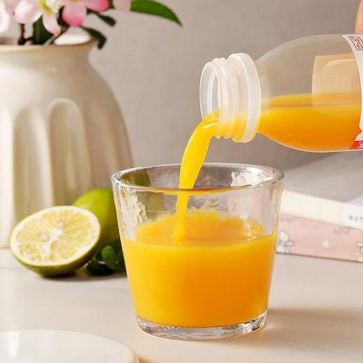 康元 沙棘果汁饮料 200ml10瓶1箱 商品图1