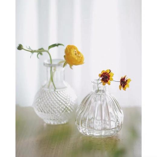 【折断的花儿也应该有归宿】简小姐精选 高颜值 复古玻璃迷你小花瓶 下单72小时发货 商品图6