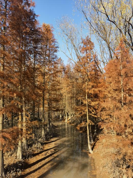 老鱼头测试 商品图0