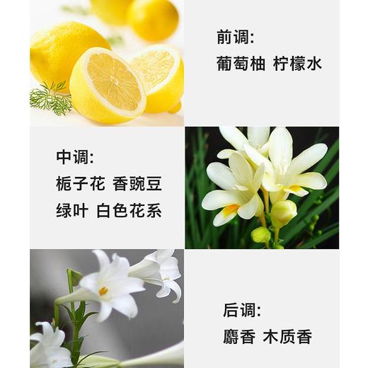 1LPY Hermes爱马仕的一天爱马仕之光女士浓香水30ML花香调 商品图3