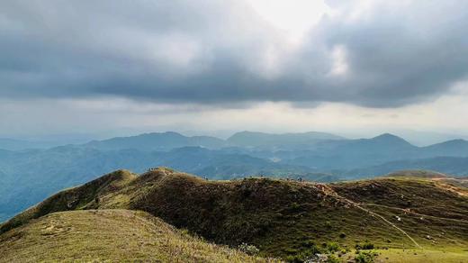 户外@【高山杜鹃·天露山】新兴天露山杜鹃1天 商品图5