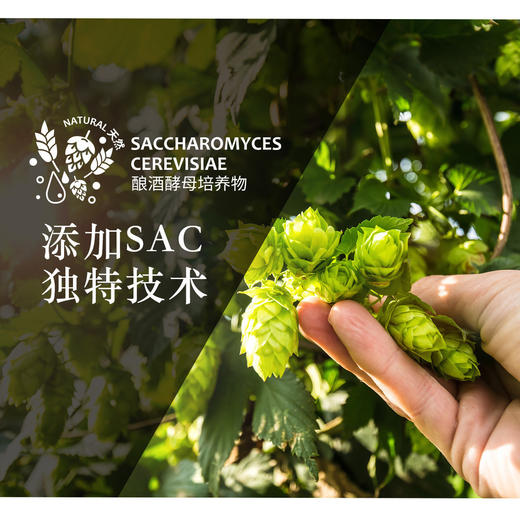 佩玛思特狗粮冰川系列丹麦鳕鱼奶糕粮成犬粮幼犬粮1.5kg/7.5kg/12kg 商品图1