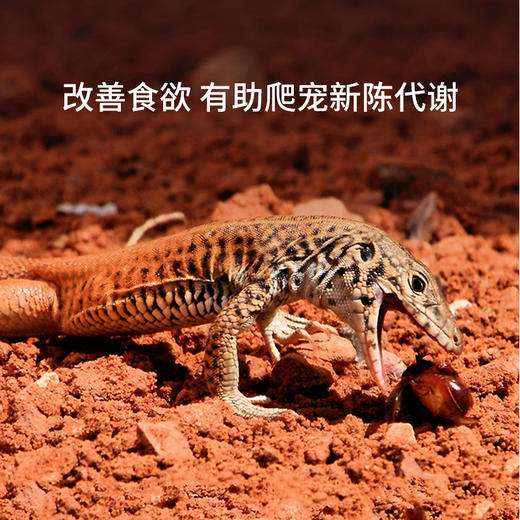 reptizoo爬宠UVA加热灯泡蜥蜴乌龟晒背日灯保温取暖节能 商品图3