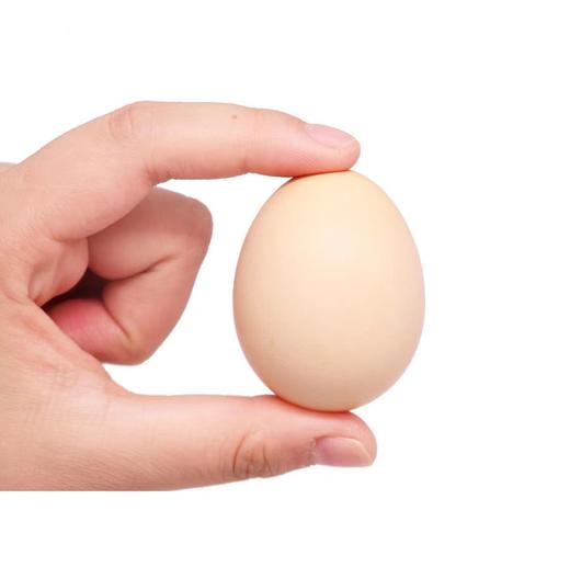 义箪稻粱有机土鸡蛋10枚装 商品图5