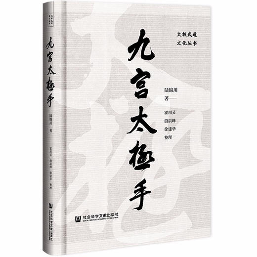 九宫太极手 陆锦川 著 生活 商品图1