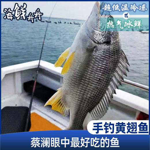 【野生】超低温 黄翅鱼（深海海钓）250-500g/条 商品图0