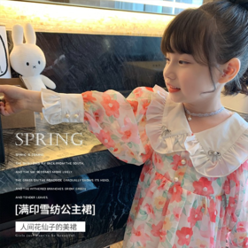 FISH CHILDE花仙子雪纺满印公主裙