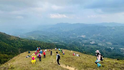 户外@【高山杜鹃·天露山】新兴天露山杜鹃1天 商品图7