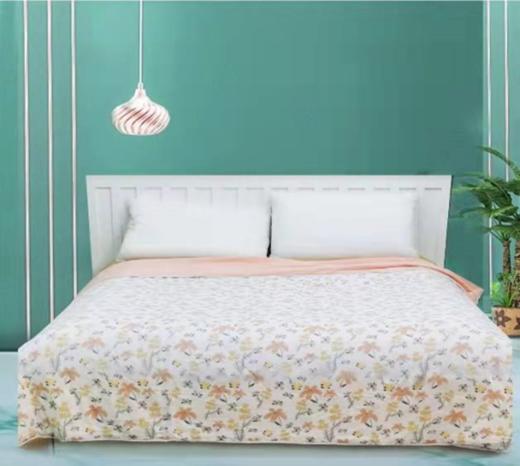 红豆家纺 HA1BD01381 2.0*2.3 商品图0