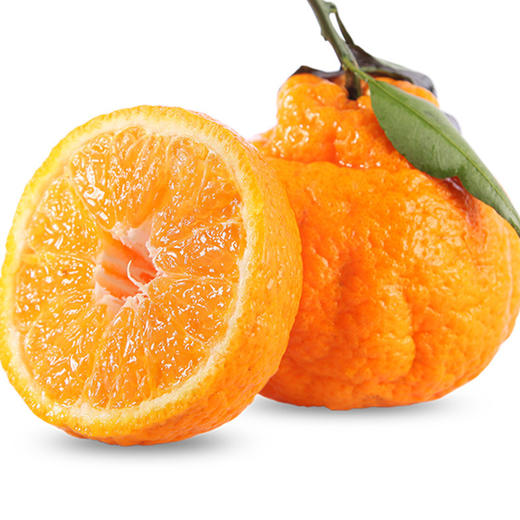 春见耙耙柑 商品图0