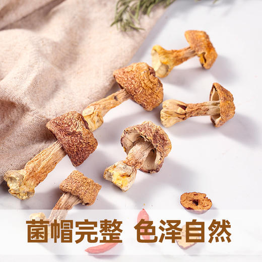 在菌屋 云南姬松茸干货200g 商品图3