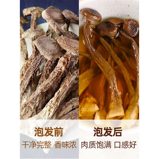 【鹿茸菇干货•无根】野生 云南土特产 鹿茸菌 煲汤食材 商品图4