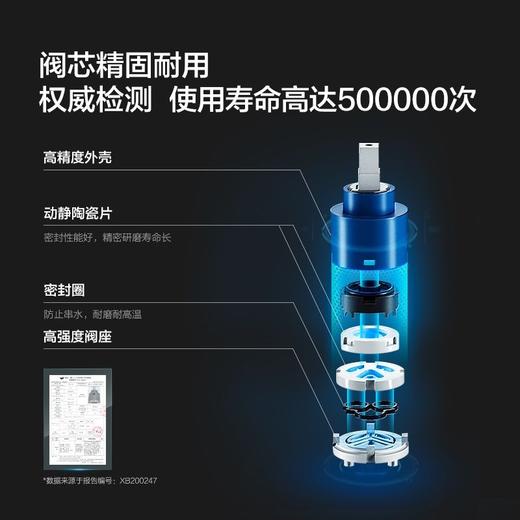 A.O.史密斯花洒淋浴器套装 FS-02G 商品图2