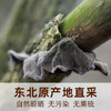 在菌屋 东北野生黑木耳干货150g 商品缩略图3