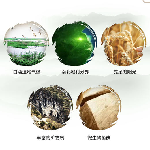 洋河大曲新天蓝-52度-浓香型白酒-375ml-6瓶整箱 商品图3