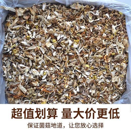 在菌屋 云南碎菌煲汤料500g 商品图1