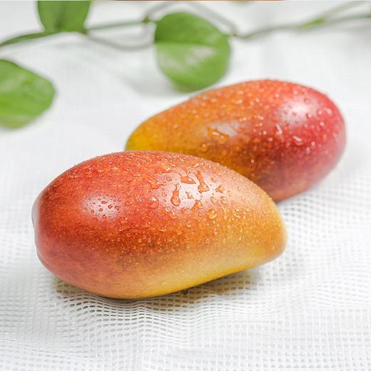 贵妃芒 果肉细腻 核小无丝 攀枝花产地直发 多种规格 商品图3