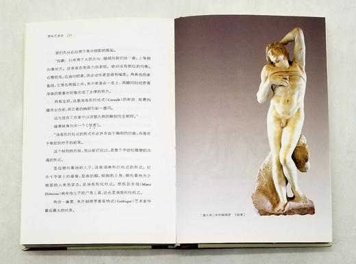 《傅雷谈艺系列:世界美术名作二十讲、艺术哲学（上下）、罗丹艺术论、英国绘画》（全五册），32开精装彩图版，傅雷注译，上海书画出版社2017出版，定价329，售价160元。 商品图13