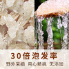 【植物燕窝】在菌屋 云南拉丝雪燕200g/罐 商品缩略图4