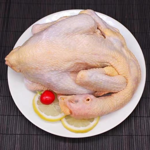 苏食童子鸡1-1.3kg/只【025】 商品图0