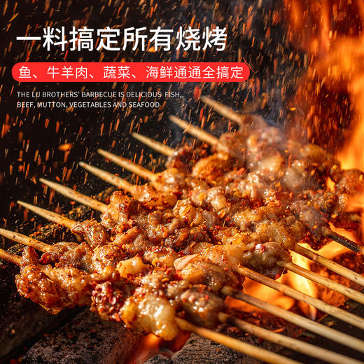 【新人专享】延吉 羊肉串调料 辣料 28g*10 商品图1